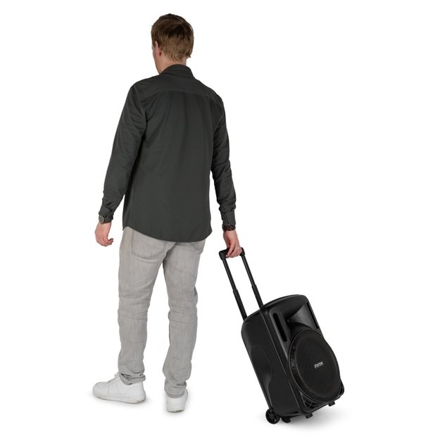 FENTON FT12LED MK2 700W nešiojama kolonėlė su belaidžiu mikrofonu 12