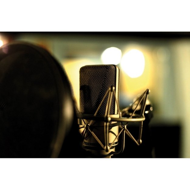 PDS-M01 studijinis kondensatorinis mikrofonas 2