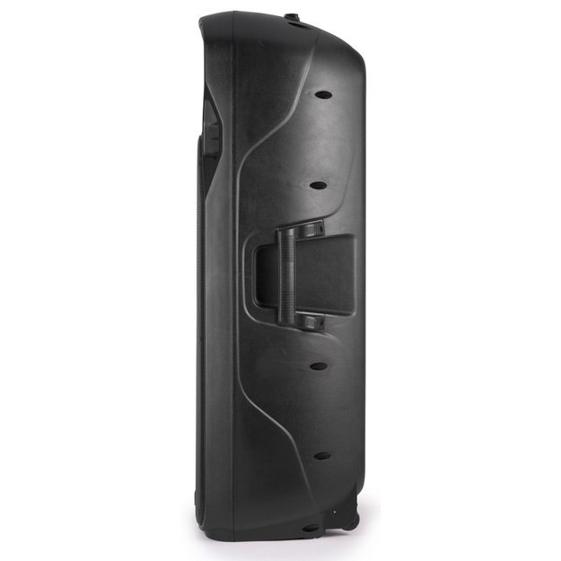 Fenton FT215LED 2x 15" 1600W nešiojama kolonėlė su 2 belaidžiais milkrofonais 8