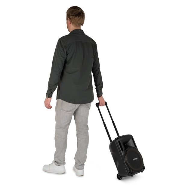 FENTON FT10LED MK2 450W nešiojama kolonėlė su belaidžiu mikrofonu 12