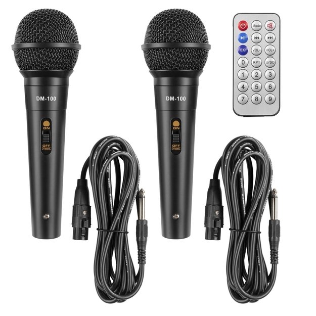 Fenton LIVE290 nešiojama karaoke kolonėlė su šviesos efektu 2x 8” 6